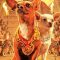 Una Chihuahua en Beverly Hills (2008)