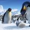 Happy Feet (2006)
