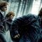 Harry Potter y las Reliquias de la Muerte Parte 1 (2010)