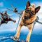 Como Perros y Gatos 2 (2010)