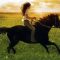 Flicka (2006)