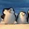 Los Pingüinos de Madagascar (2014)