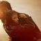 Logan (2017)
