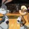 Space Jam: El juego del siglo (1996)