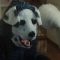 Good Boy (2023)