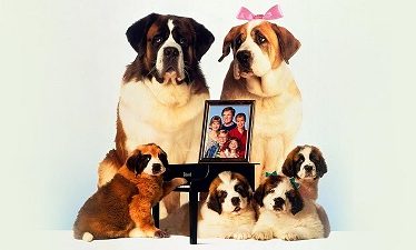 Beethoven 2: La familia crece (1993)